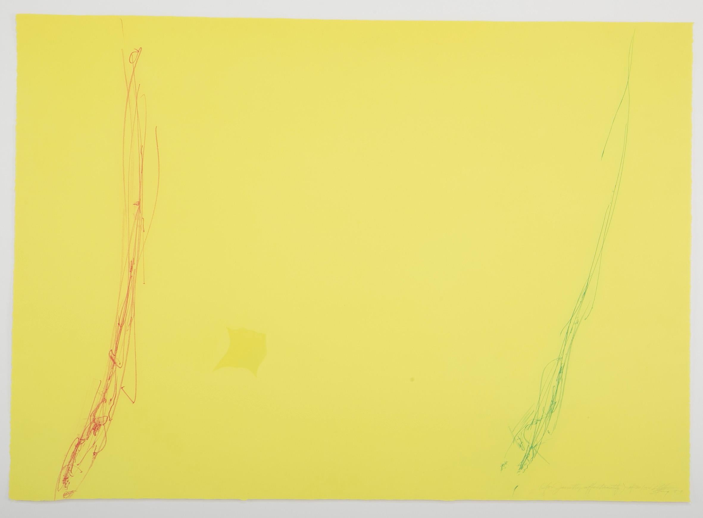 A Dan Flavin aquatint and etching in colors. Titled, signed and dated # 30/30 - 1988. Measures: Sheet 22 1/4 in. × 31 3/16 in.