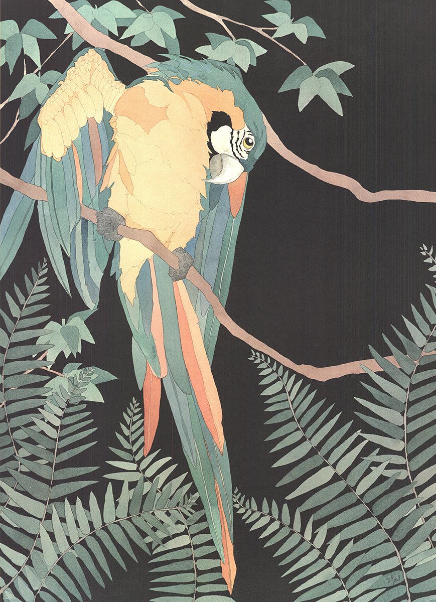 Dan Goad Macaw 1989- Lithographie offset en vente 1
