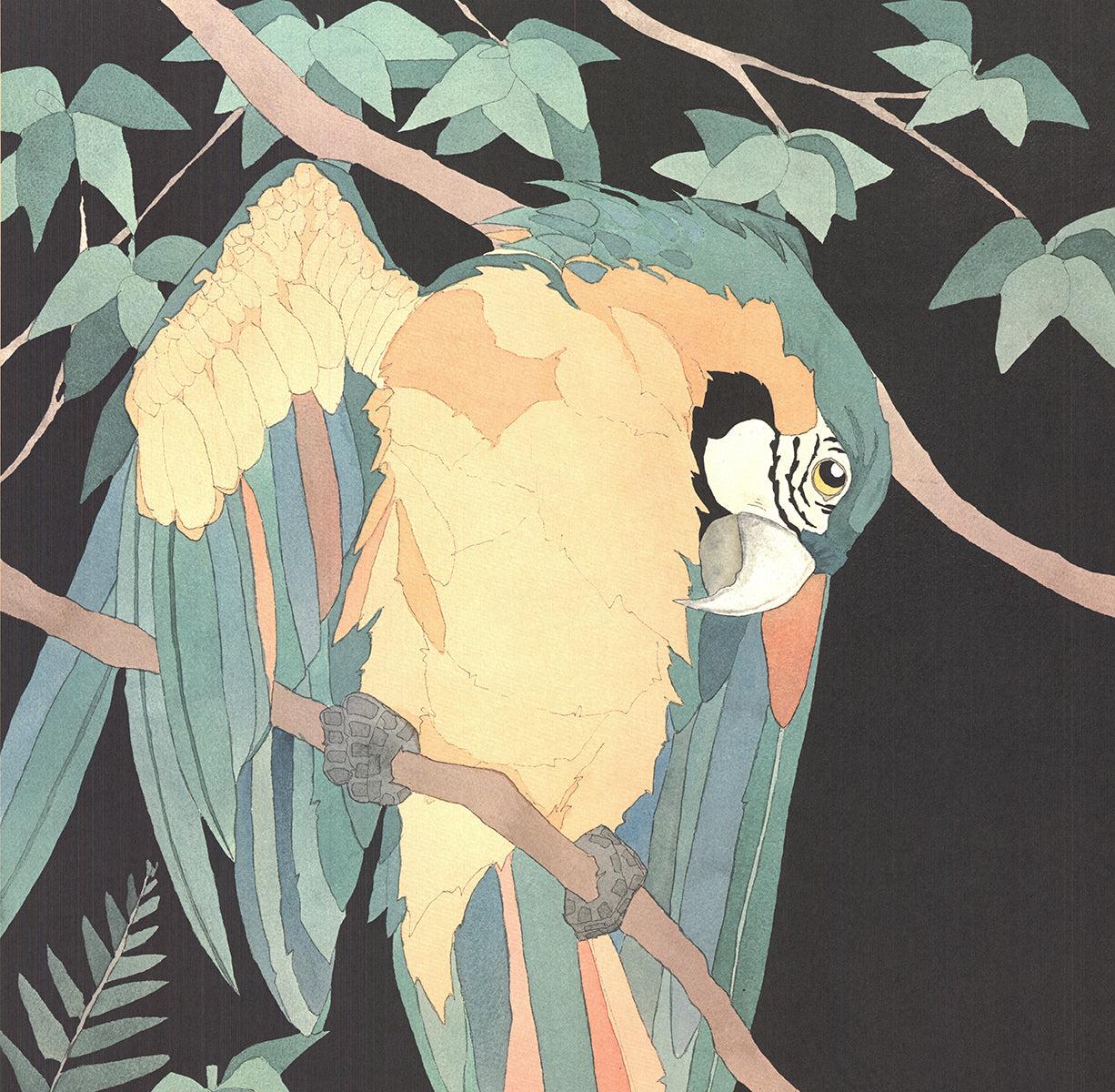 Dan Goad Macaw 1989- Lithographie offset en vente 2