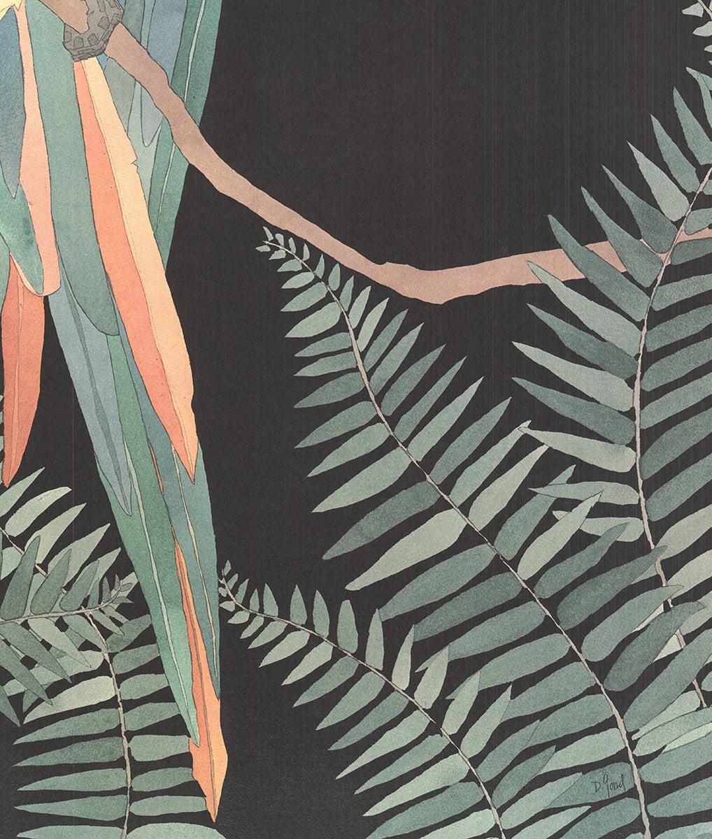 Dan Goad Macaw 1989- Lithographie offset en vente 3