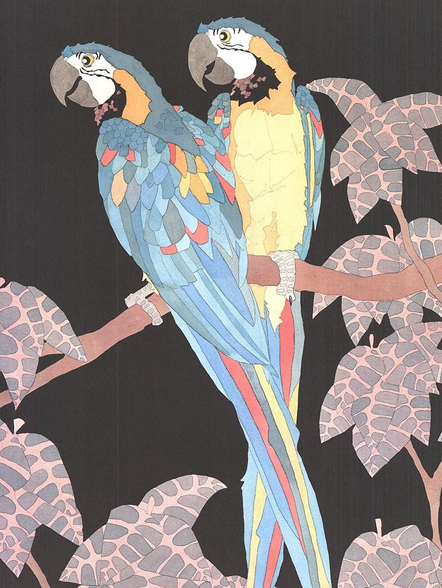 Dan Goad 'Macaws' 1989- Litografia offset in vendita 2
