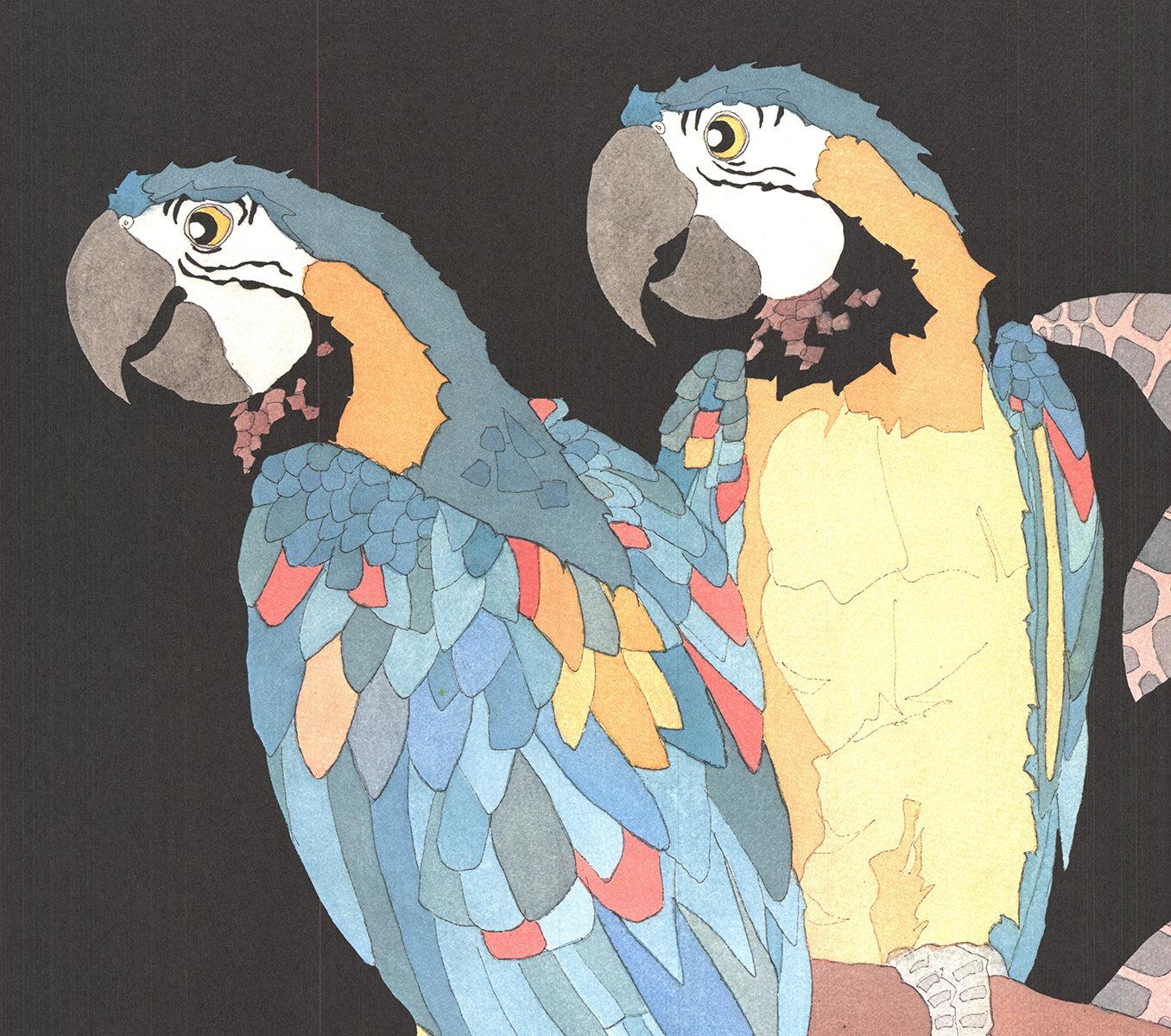 Dan Goad 'Macaws' 1989- Litografia offset in vendita 3