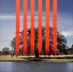 "Fat Tuesday - 2" (2016) By Dan Kaufman, Archival Abstracted Photo Print