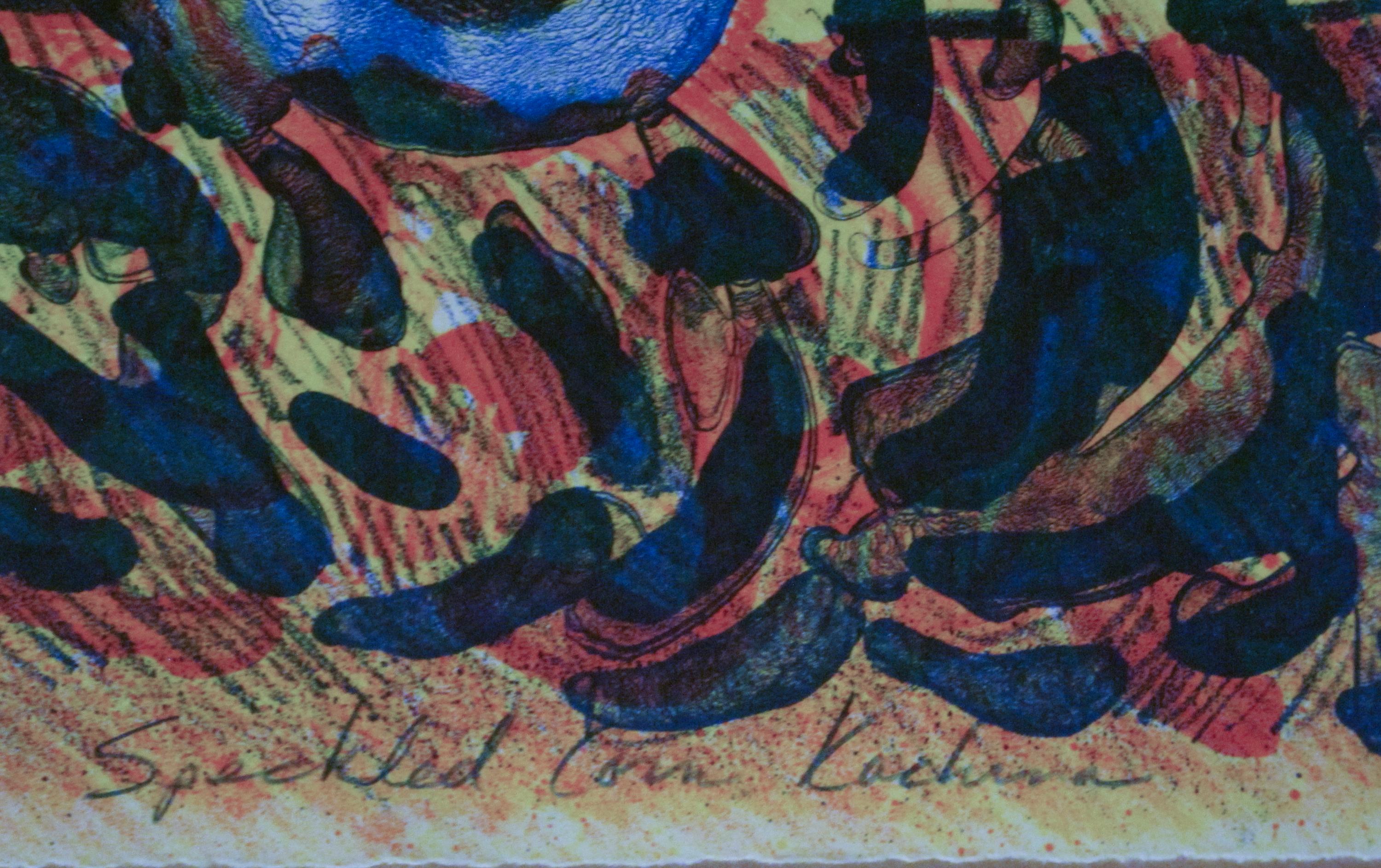 Kachina en corne mouchetée, Dan Namingha, lithographie, Hopi, kachina, bleu, orange  en vente 2