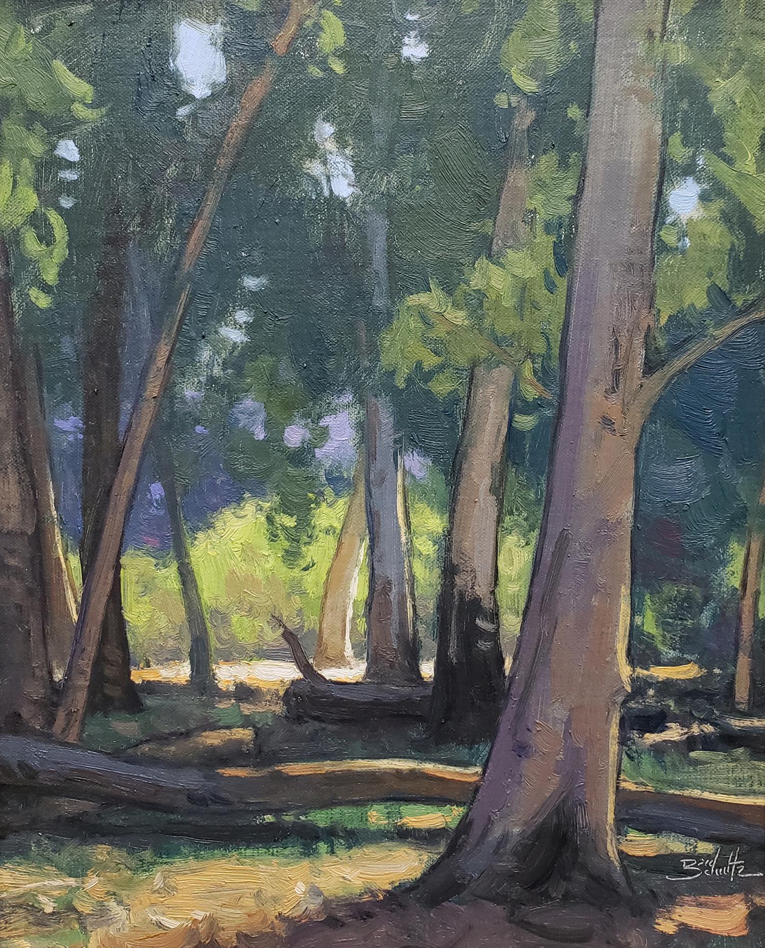 Forêt d'eucalyptus - Painting de Dan Schultz
