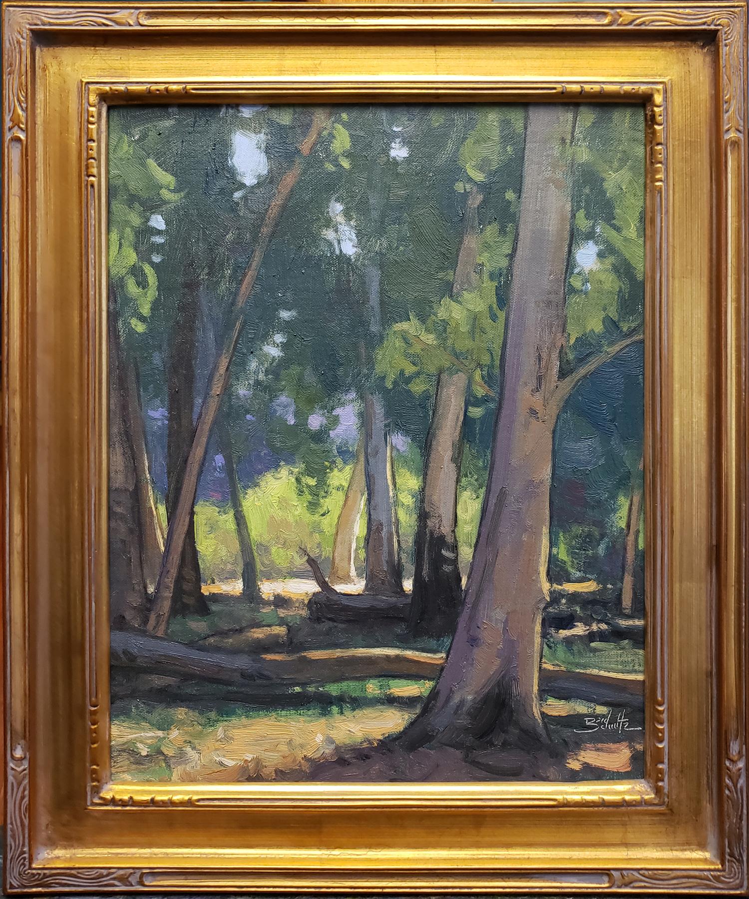 Dan Schultz Landscape Painting - Eucalyptus Forest