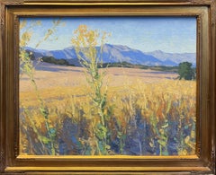 Goldene Felder