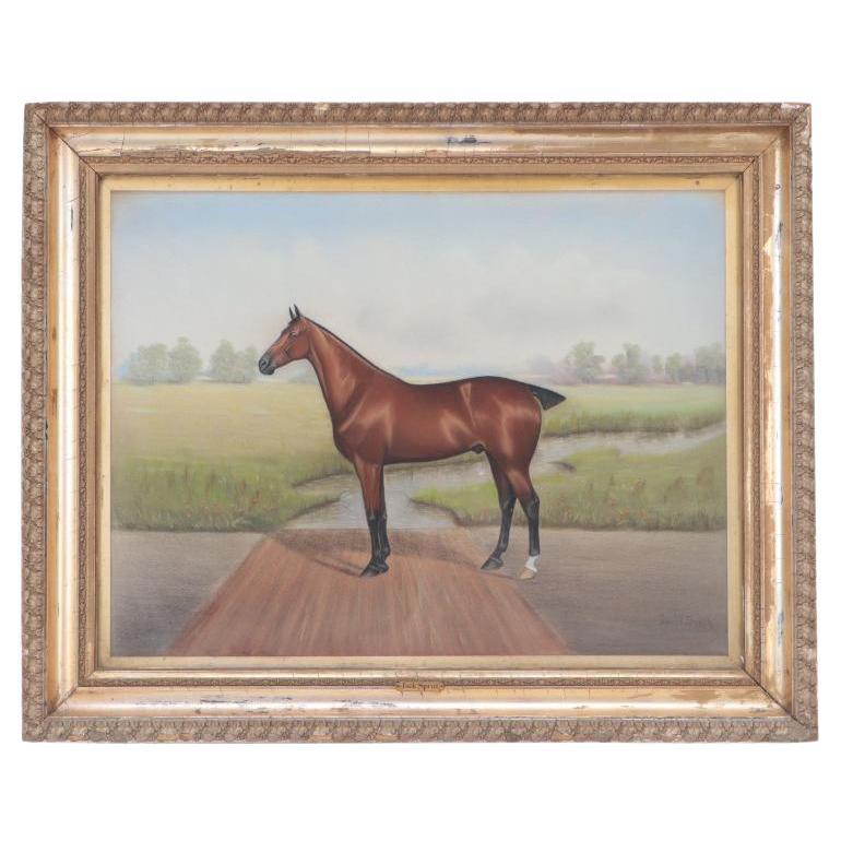 Dan W. Smith (American, 1865-1934) Pastel portrait of a Bay racehorse.
