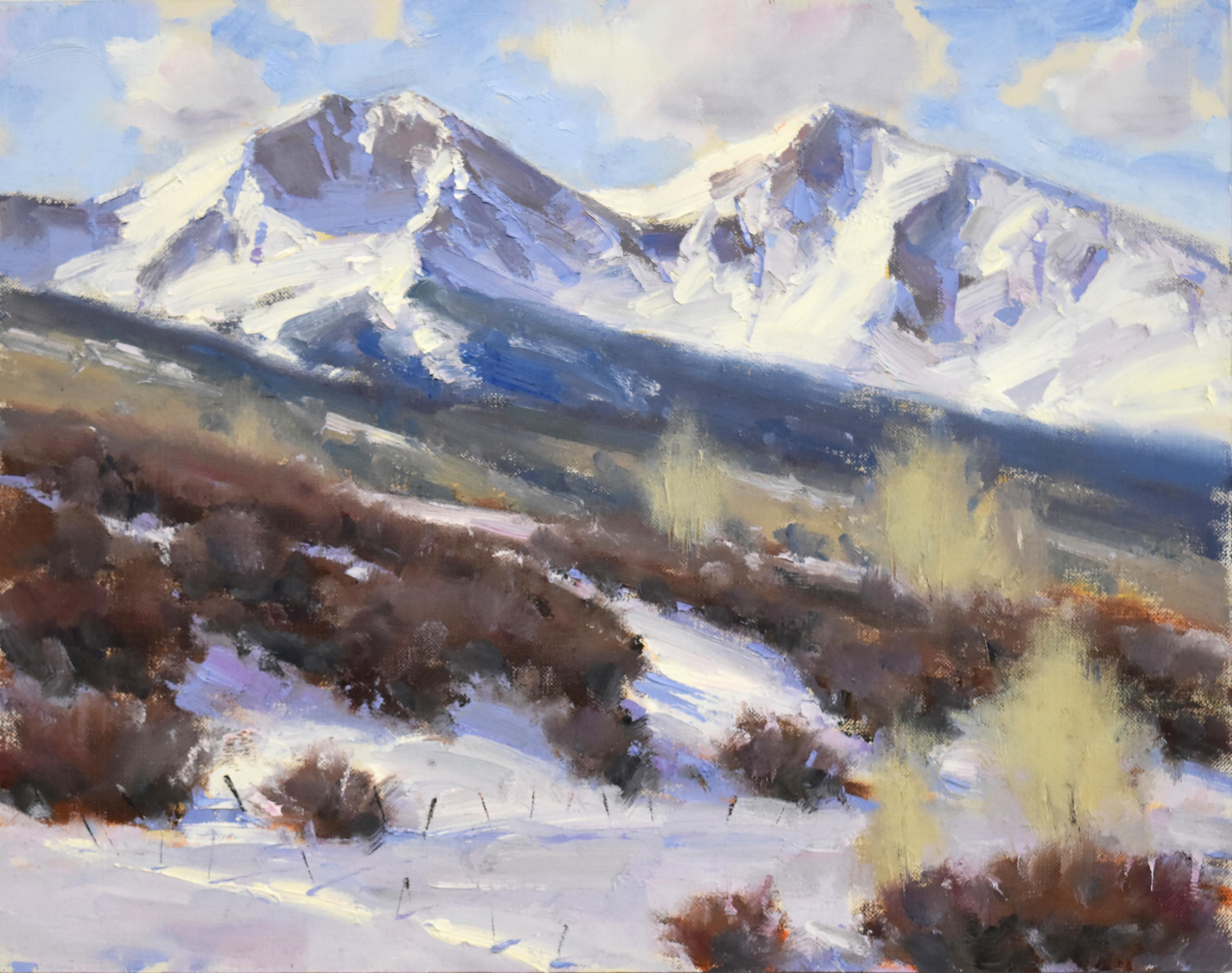 Below Sopris Mountain Ranch (colors of snow, shadows, winter) - Black Landscape Painting by Dan Young