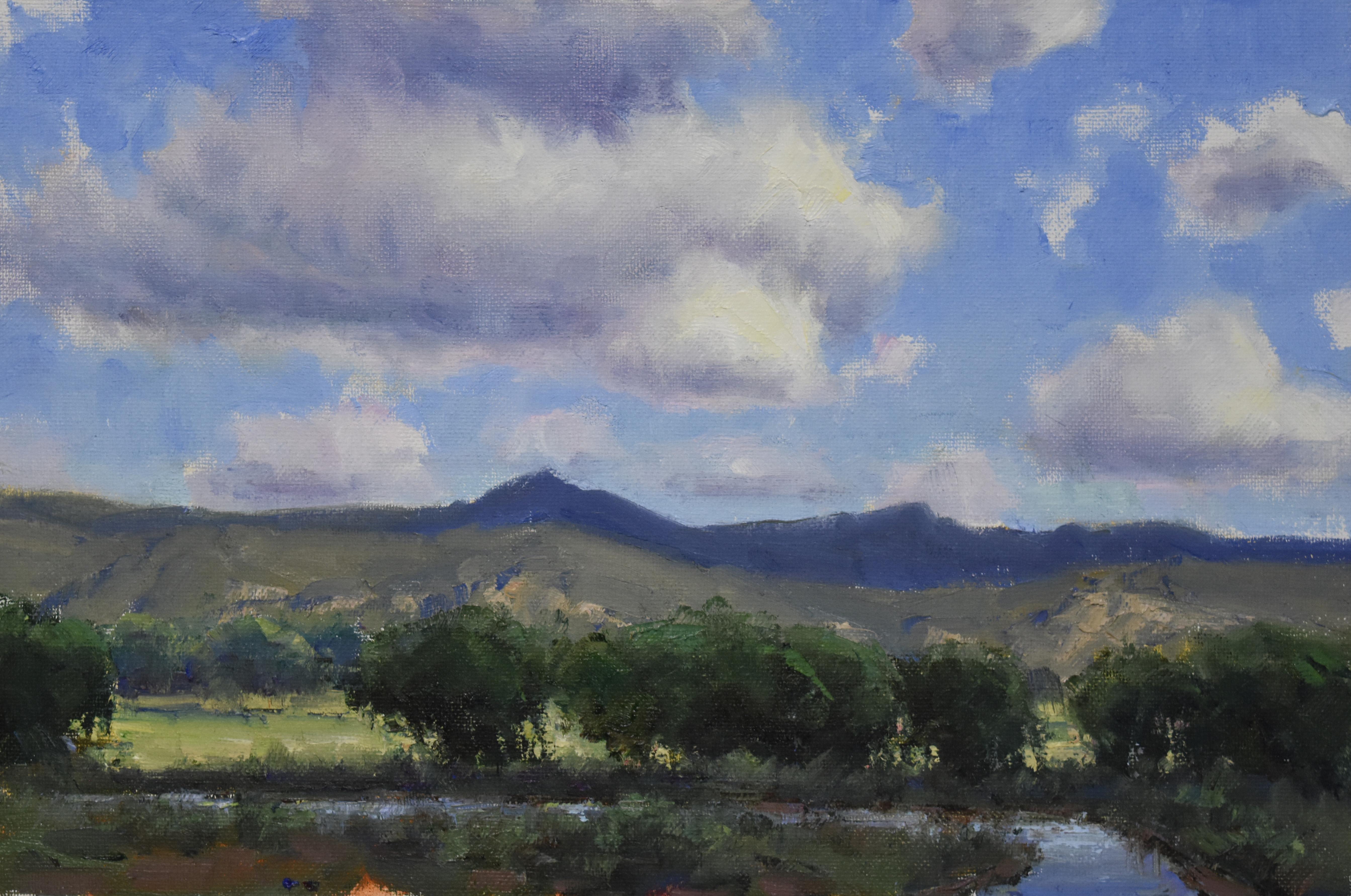 Dan Young Landscape Painting - Summer Skies (big sky, cumulus puffy clouds, landscape)