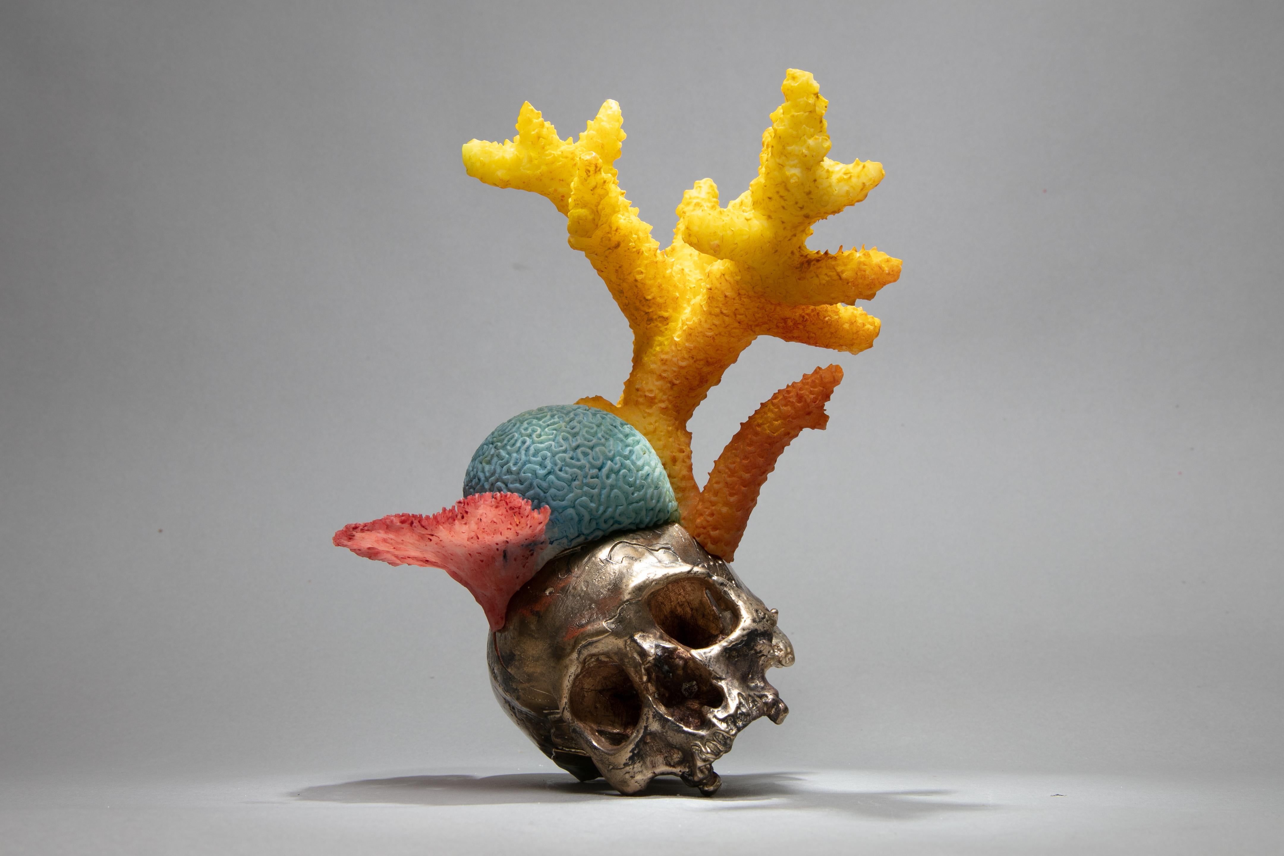Dana Younger Figurative Sculpture - "Coral Skull" Sculpture