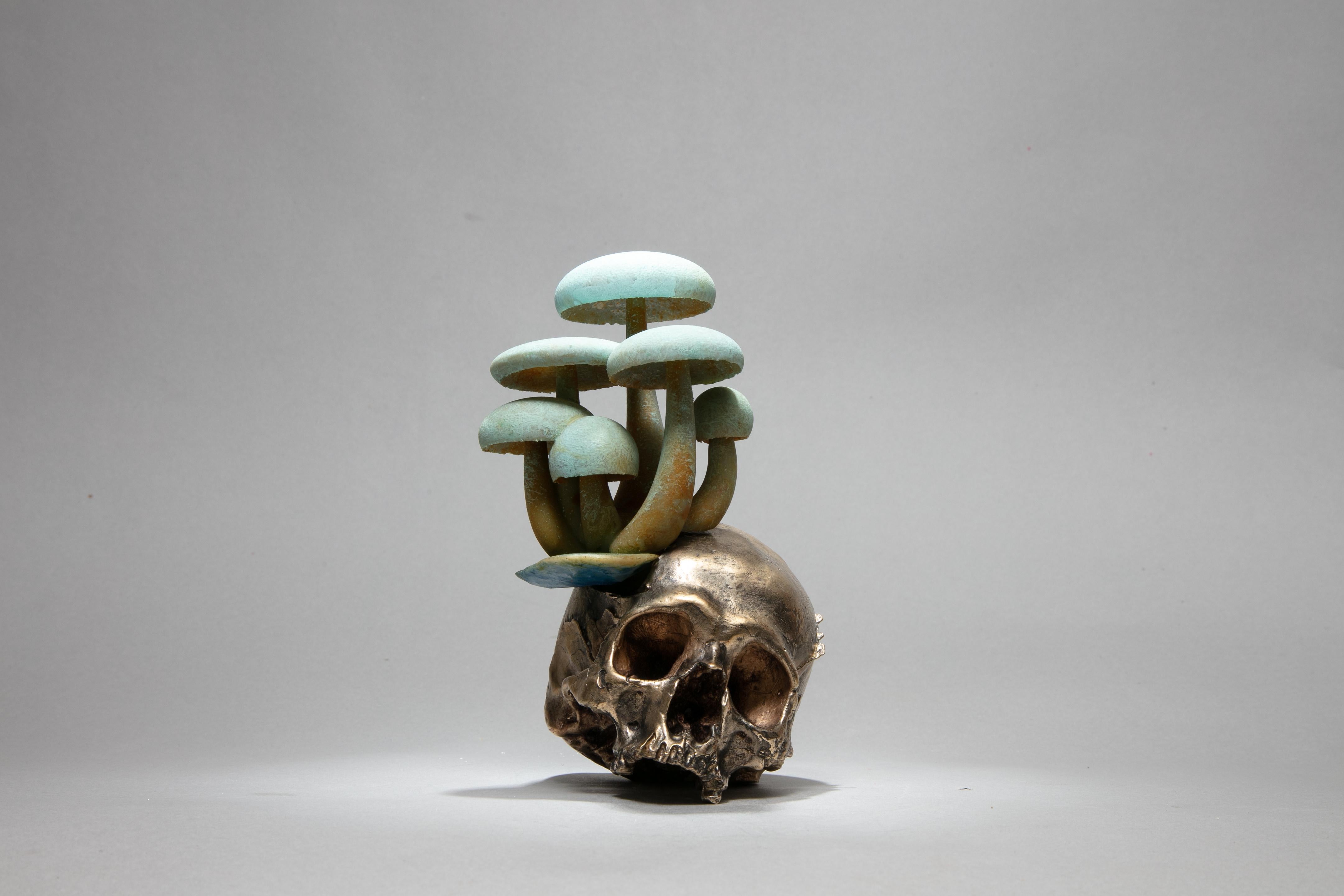 Dana Younger Figurative Sculpture - "Mushroom Skull" Sculpture