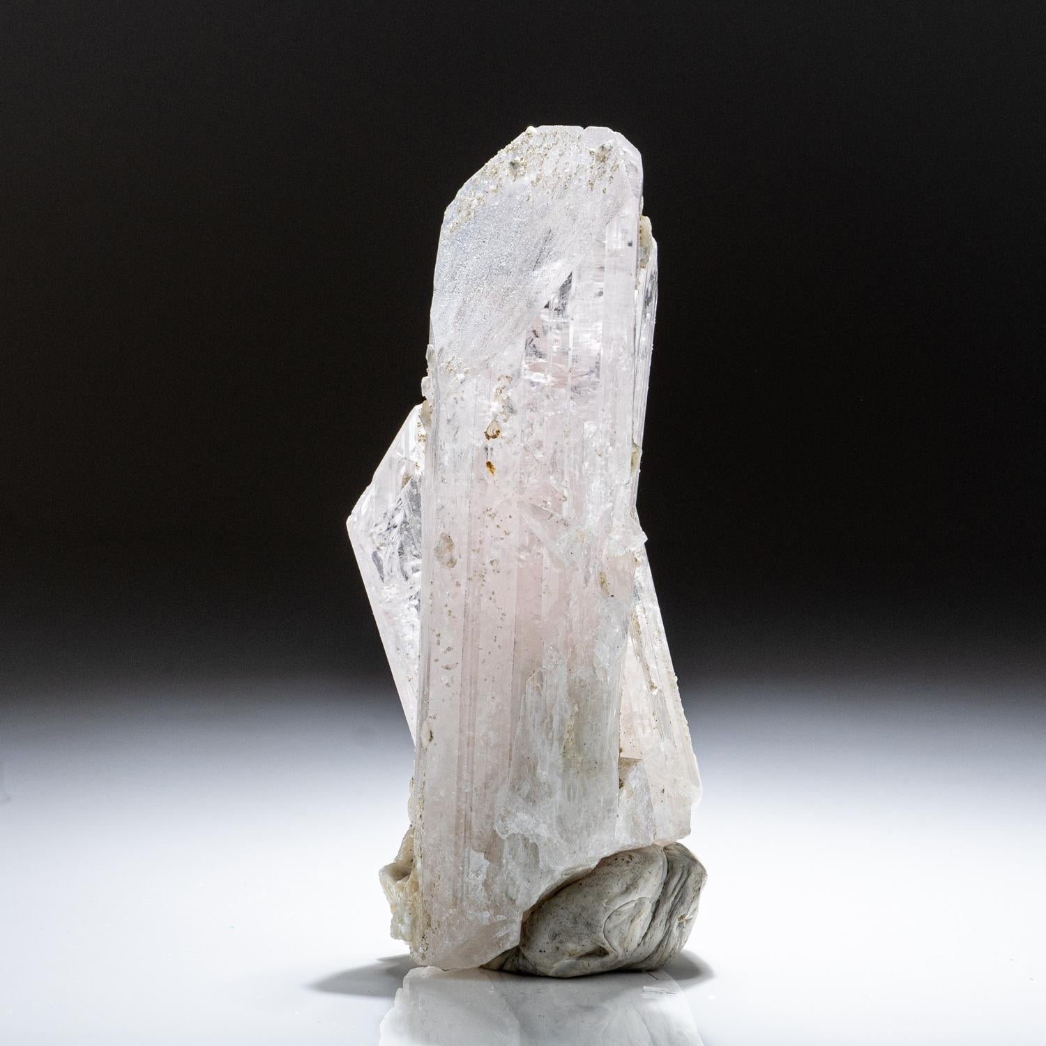 From Mina la Aurora, Charcas District, San Luis Potosi, Mexico. Large transparent to translucent Danburite crystal with secondary growth on matrix. The danburite has lustrous striated crystal faces. The crystal contains a unique combination of
