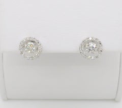 Dancing Diamonds Halo Diamond Stud Earrings in 14k White Gold
