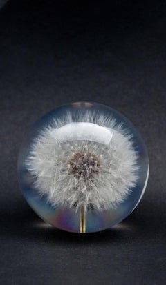 Dandelion Paperweight