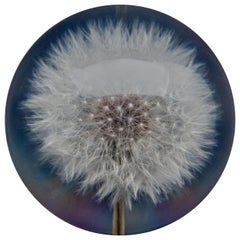 Dandelion Paperweight