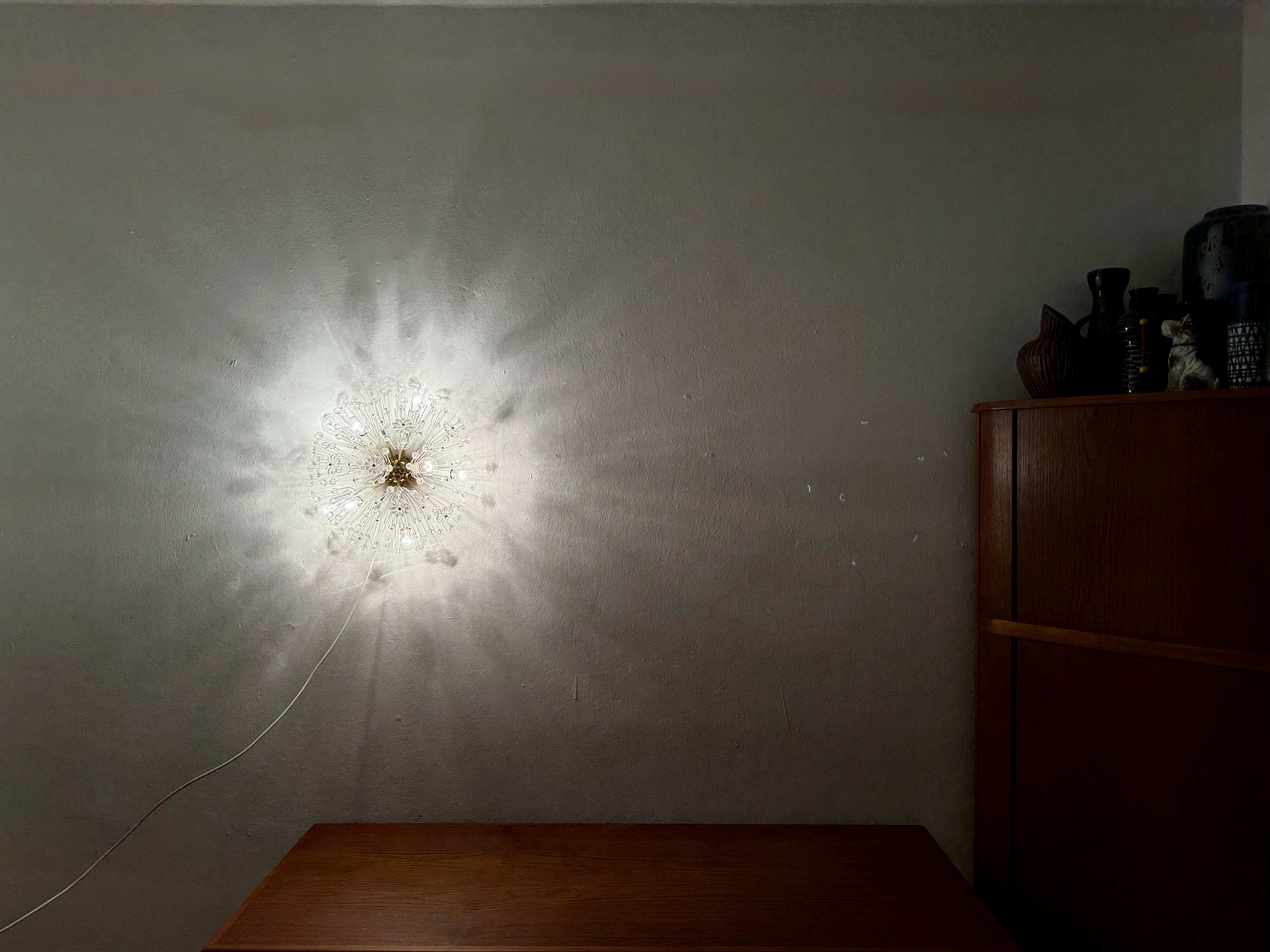 Dandelion Wall Lamp or Flush Light by Emil Stejnar for Rupert Nikoll For Sale 5