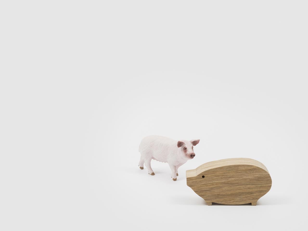 16 jouets animaliers Danese Milano en bois de chêne massif d'Enzo Mari en vente 1