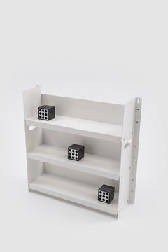 Danese Milano Livorno 60 White Bookcase in Metal by Marco Ferreri