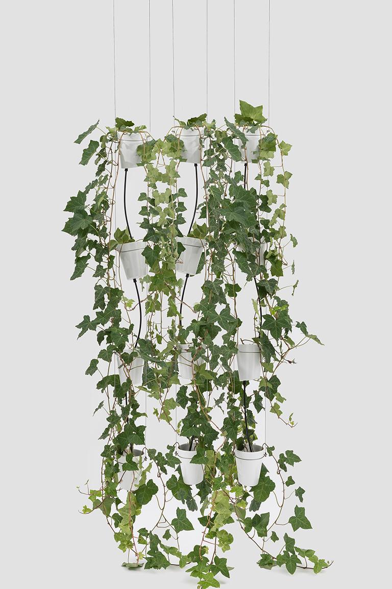 Le Window garden pendant est un système d'irrigation intelligent incorporé dans des vases en porcelaine moulée sous haute pression. Les vases eux-mêmes sont conçus pour permettre la culture hydroponique et chacun d'entre eux présente une petite