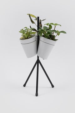 Danese Milano Window Garden Vase Set of 3 in White Porcelain by BIG