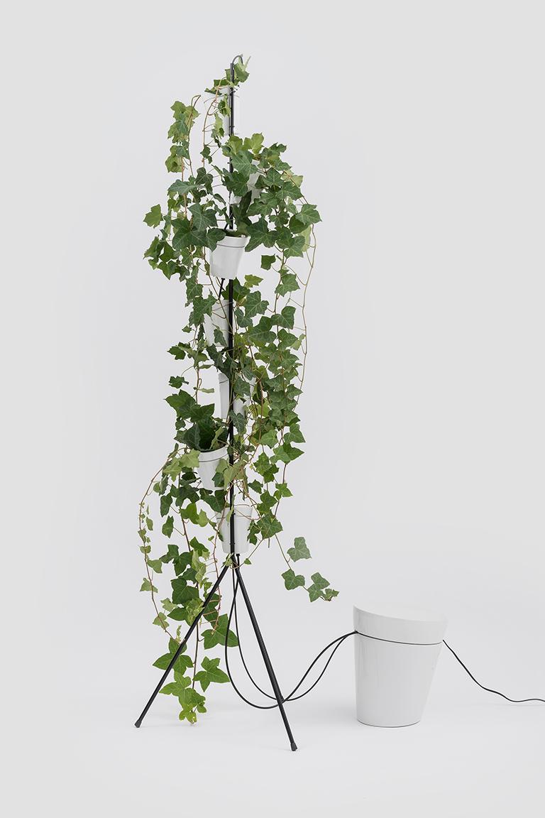 Window garden self-standing is a system of seven, overlapping, high-pressure cast white porcelain vases mounted on a thin, metal, tripod base. The vases themselves are designed to allow for hydroponic cultivation. The piece reworks the idea of the