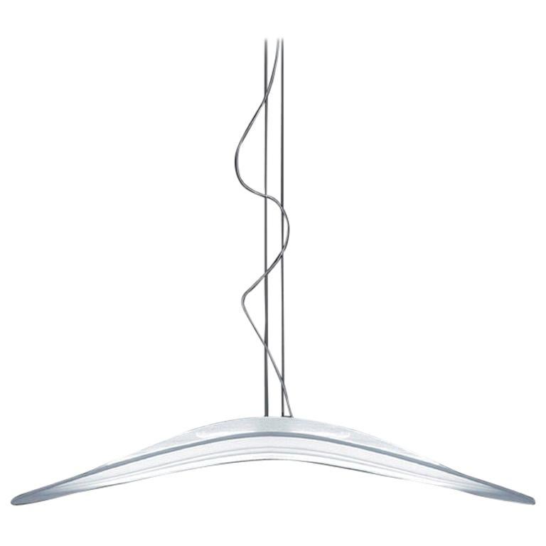 Danese R.Ray Suspension Light by Ross Lovegrove For Sale