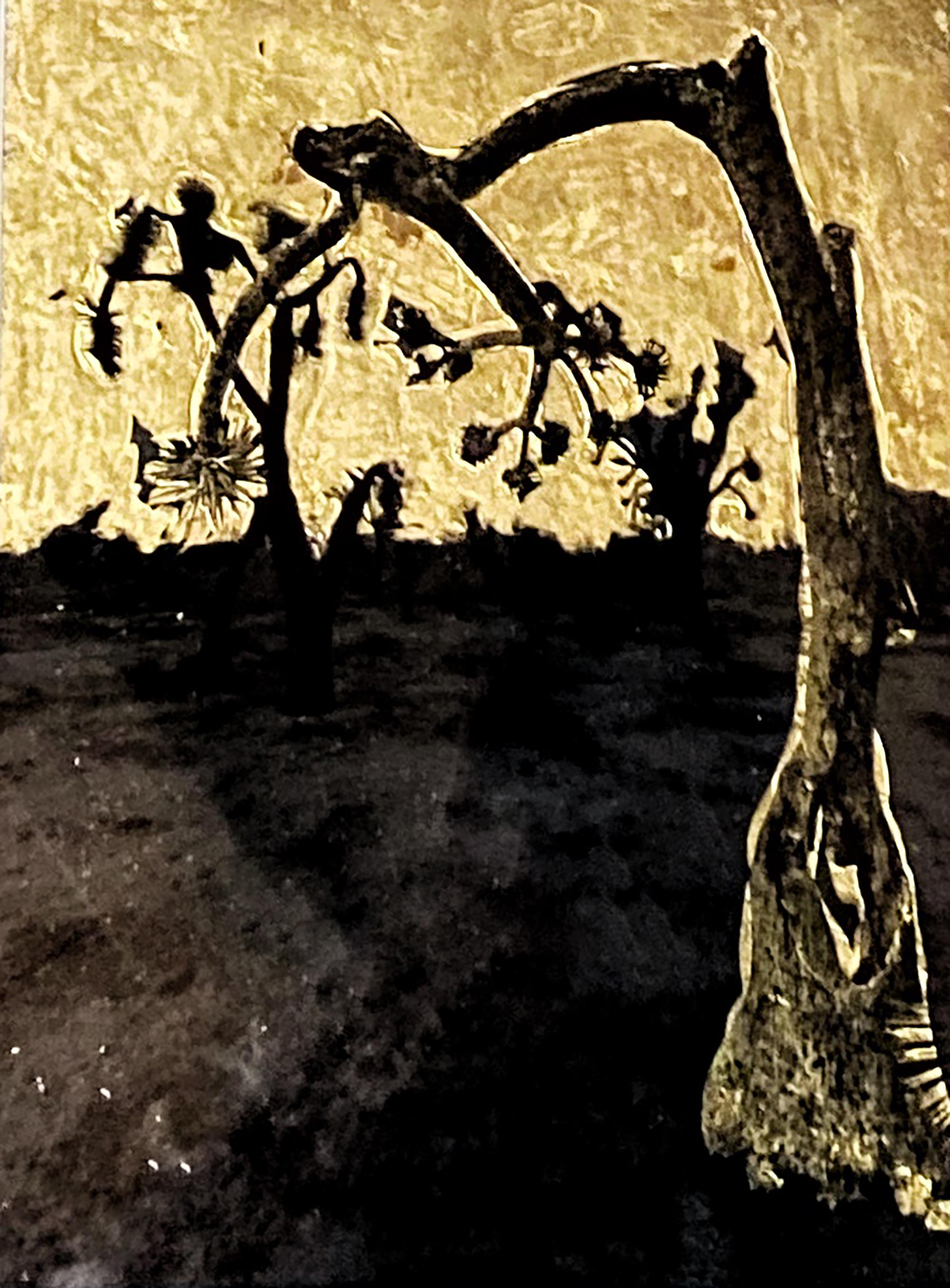Mojave-Verbrennung Nr. 1 – Mixed Media Art von Dani Dodge