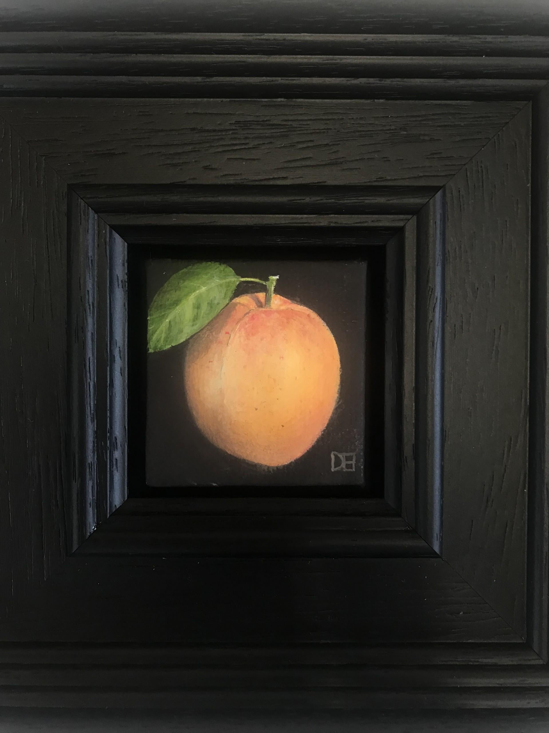 Pocket Apricot  - Painting by Dani Humberstone 