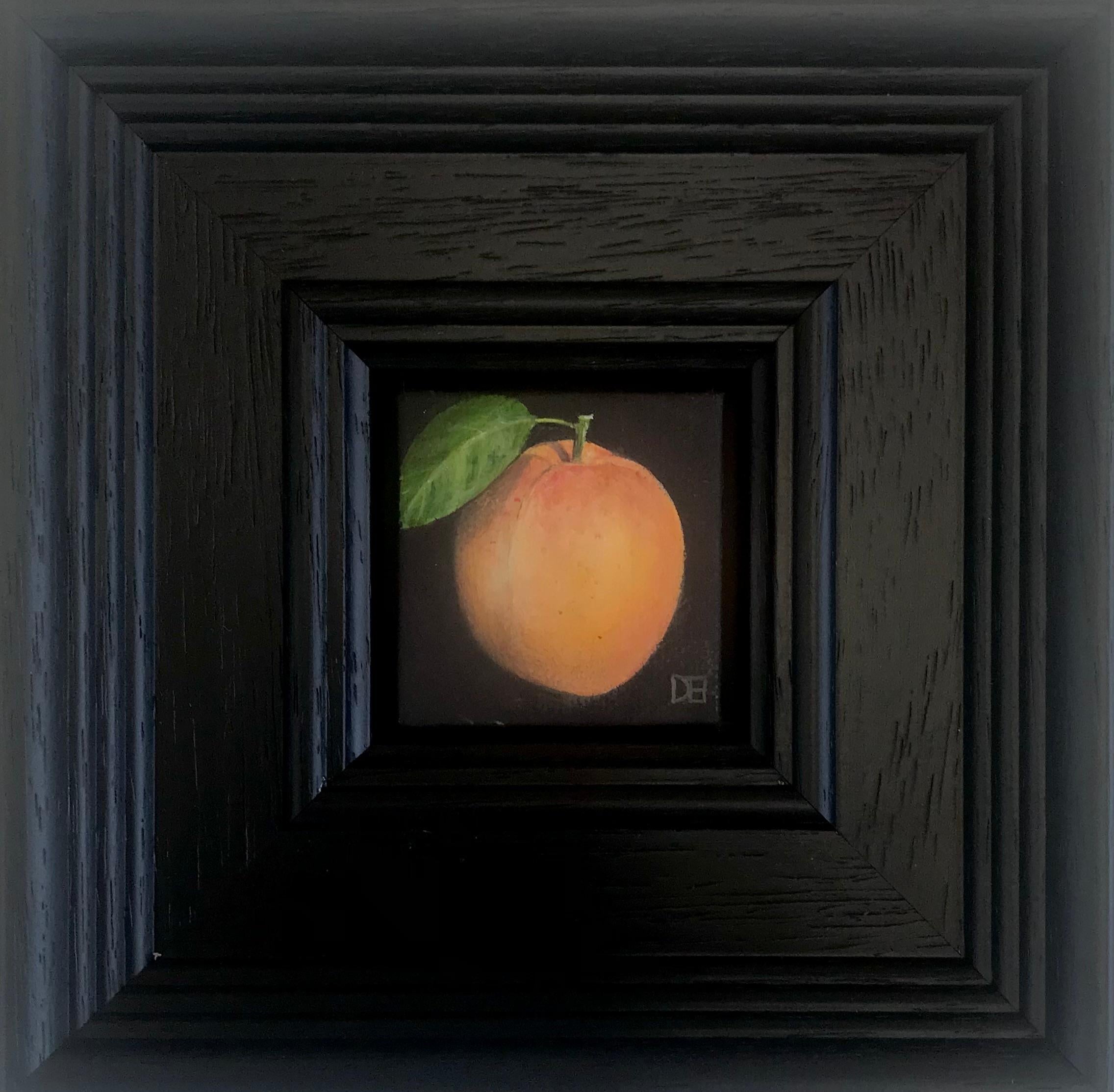 Pocket Apricot  - Black Still-Life Painting by Dani Humberstone 
