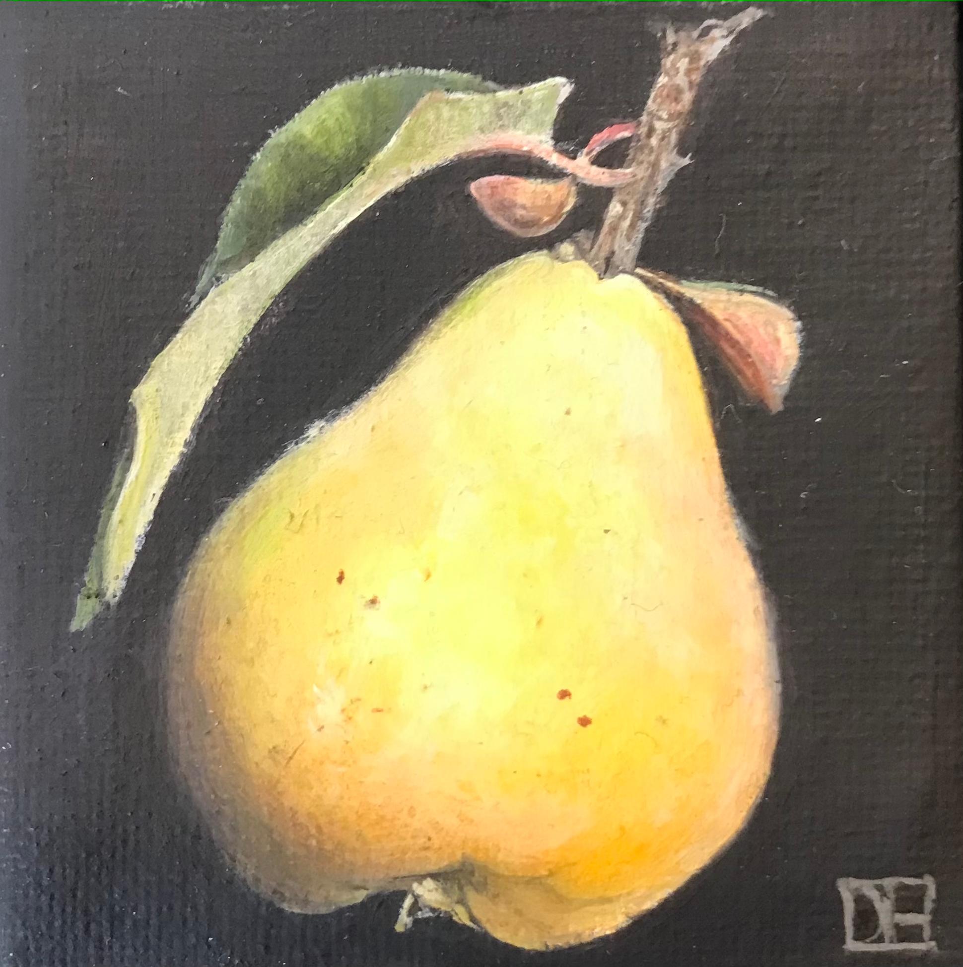 Pocket Yellow Quince by Dani Humberstone, Oil painting, original art, still life - Black Still-Life Painting by Dani Humberstone 