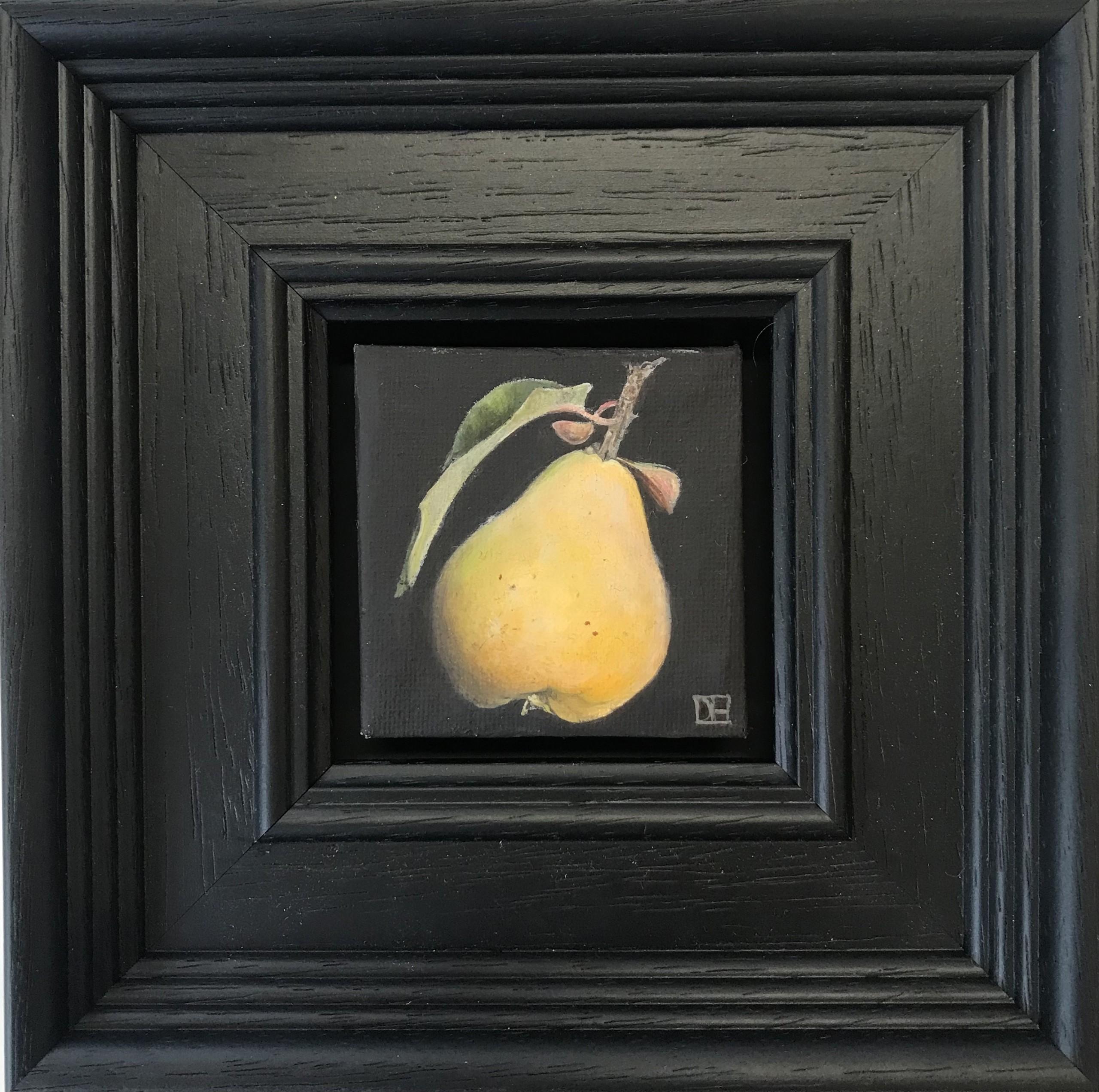 Dani Humberstone  Still-Life Painting - Pocket Yellow Quince by Dani Humberstone, Oil painting, original art, still life
