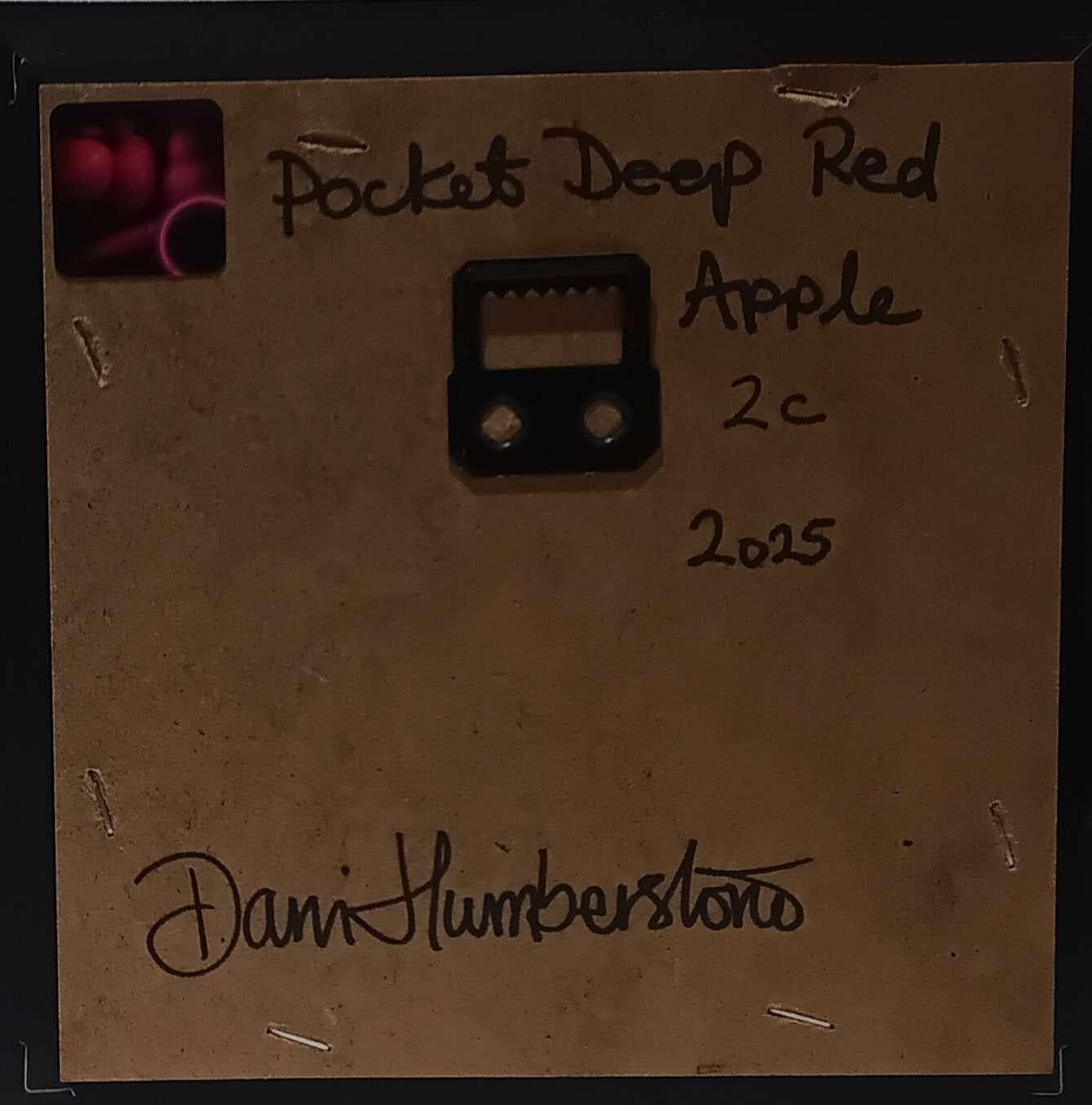 Apfel Deep Red Pocket Gemälde 2c, zeitgenössische, original gemälde im Angebot 1
