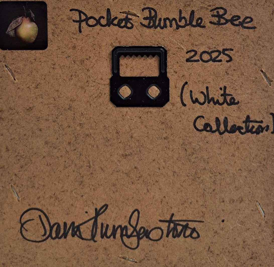 Pocket Bumble Bee (White Collection) (canvas size 5x5cm) is an original oil painting by Dani Humberstone as part of her Pocket painting series featuring small scale realistic oil paintings, with a nod to baroque still life painting. The paintings