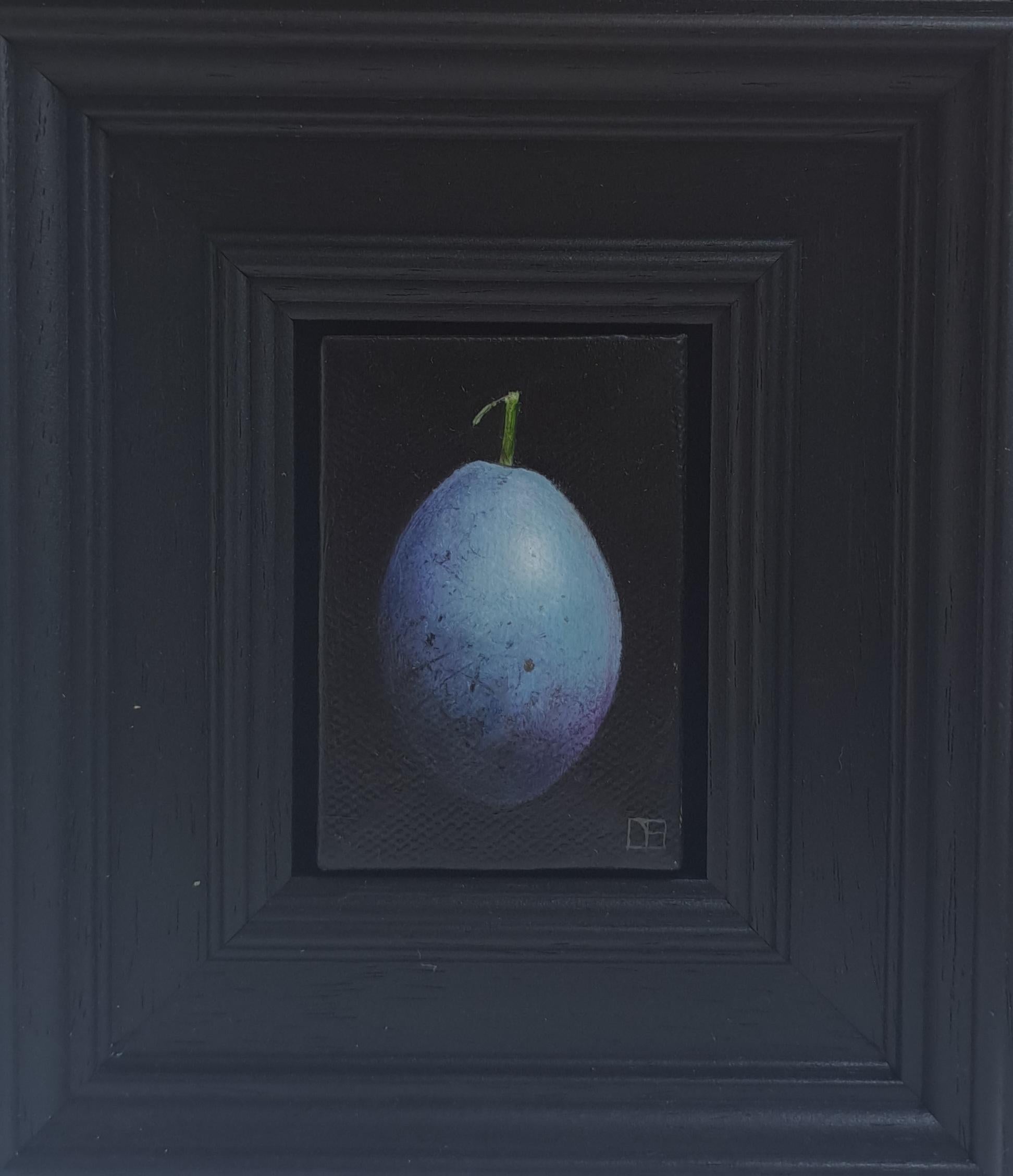 Blue Damson - original realism still life fruit - contemporary art