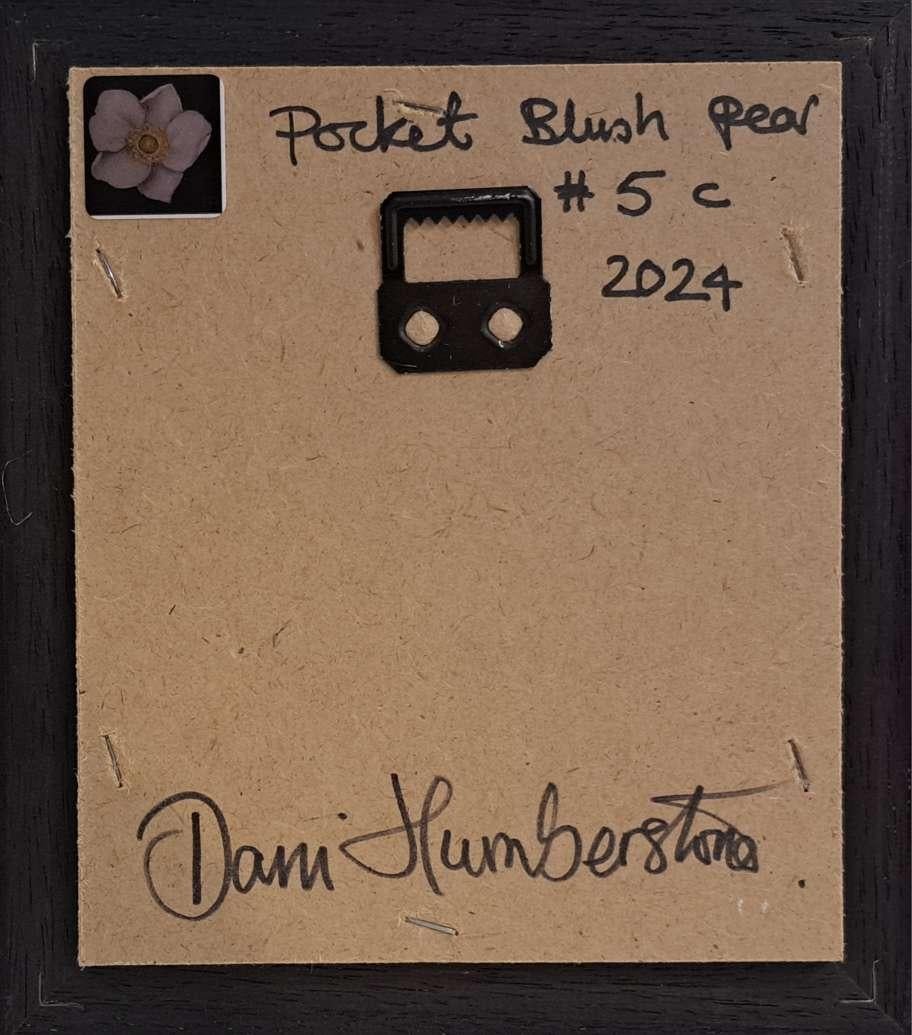 Pocket Blush Pear #5 c is an original oil painting by Dani Humberstone as part of her Pocket Painting series featuring small scale realistic oil paintings, with a nod to baroque still life painting. The paintings are set in a black wood layered