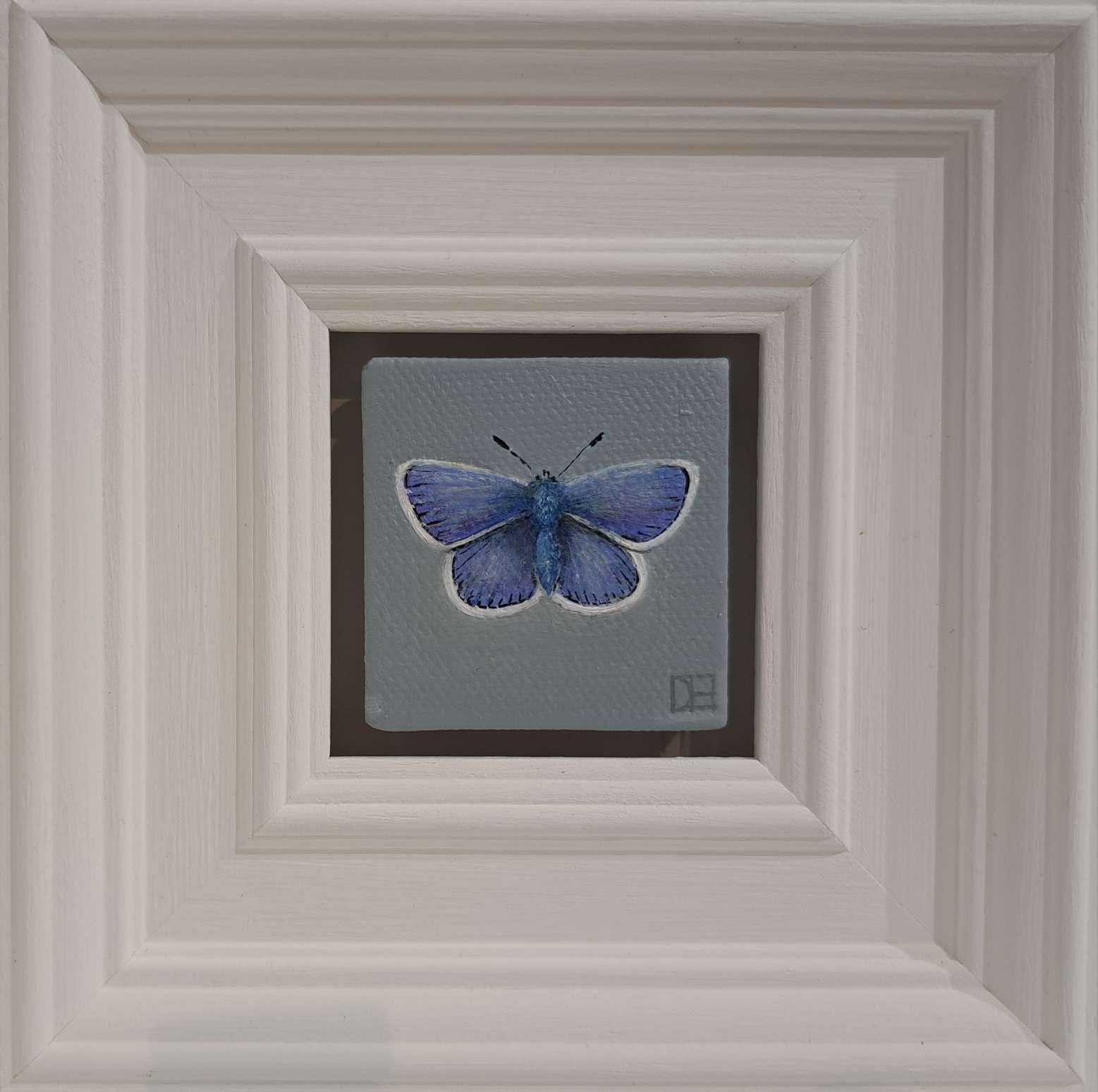 Butterfly Common Blue (White Collection) Pocket Painting, original painting For Sale 1