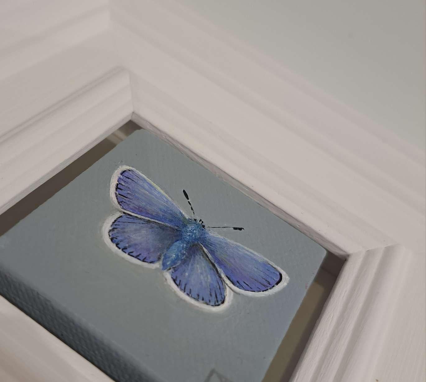 Butterfly Common Blue (White Collection) Pocket Painting, original painting For Sale 4