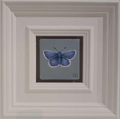 Butterfly Common Blue (White Collection) Pocket Painting, original painting