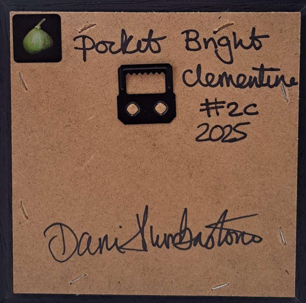 Pocket Bright Clementine 2c (taille de la toile 5x5cm) est une peinture à l'huile originale de Dani Humberstone qui fait partie de sa série de peintures Pocket, des peintures à l'huile réalistes à petite échelle, avec un clin d'œil aux natures