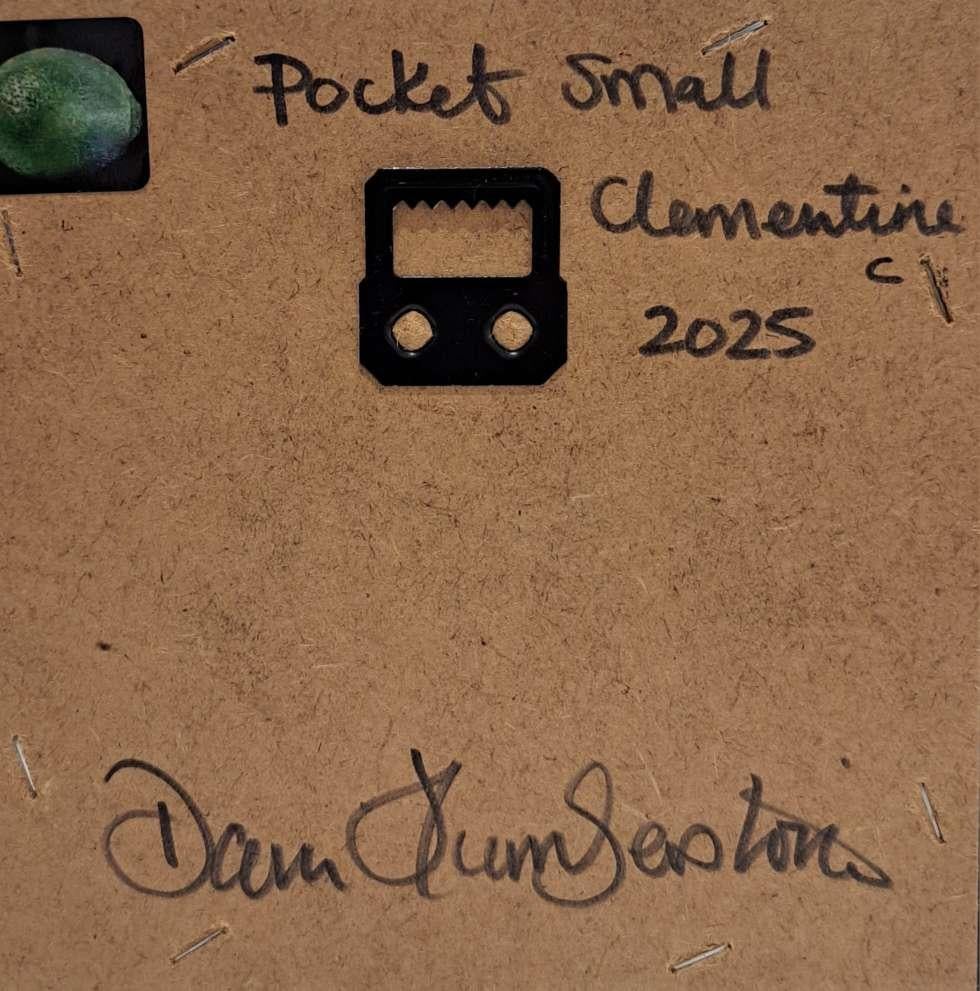 Clementine Small Pocket Painting c, original painting, still-life (Schwarz), Still-Life Painting, von Dani Humberstone
