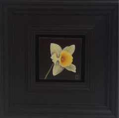 Dani Humberstone - Daffodil Pale Yellow Pocket Painting, original painting, still-life Daffodil Pale Yellow Pocket Painting, original painting, still-life