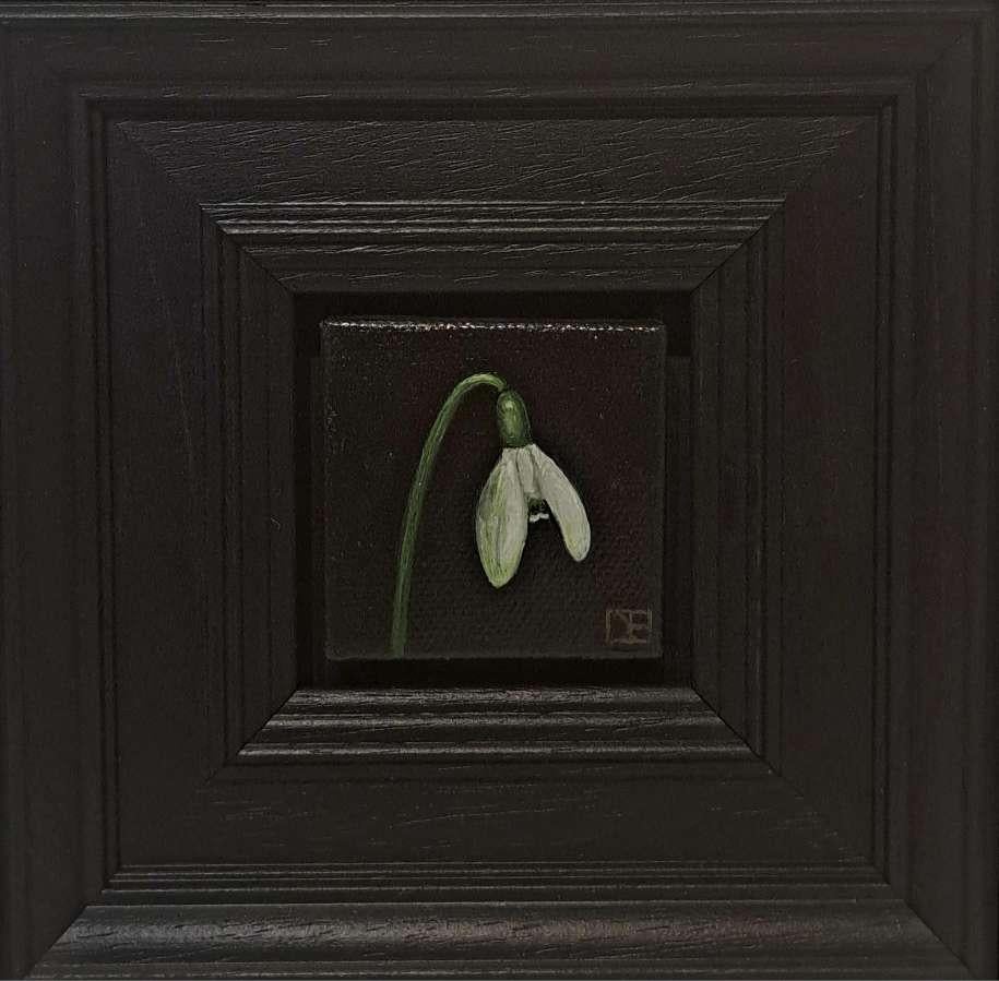 Pocket Snowdrop 2 is an original oil painting by Dani Humberstone as part of her Pocket Painting series featuring small scale realistic oil paintings, with a nod to baroque still life painting. The paintings are set in a black wood layered