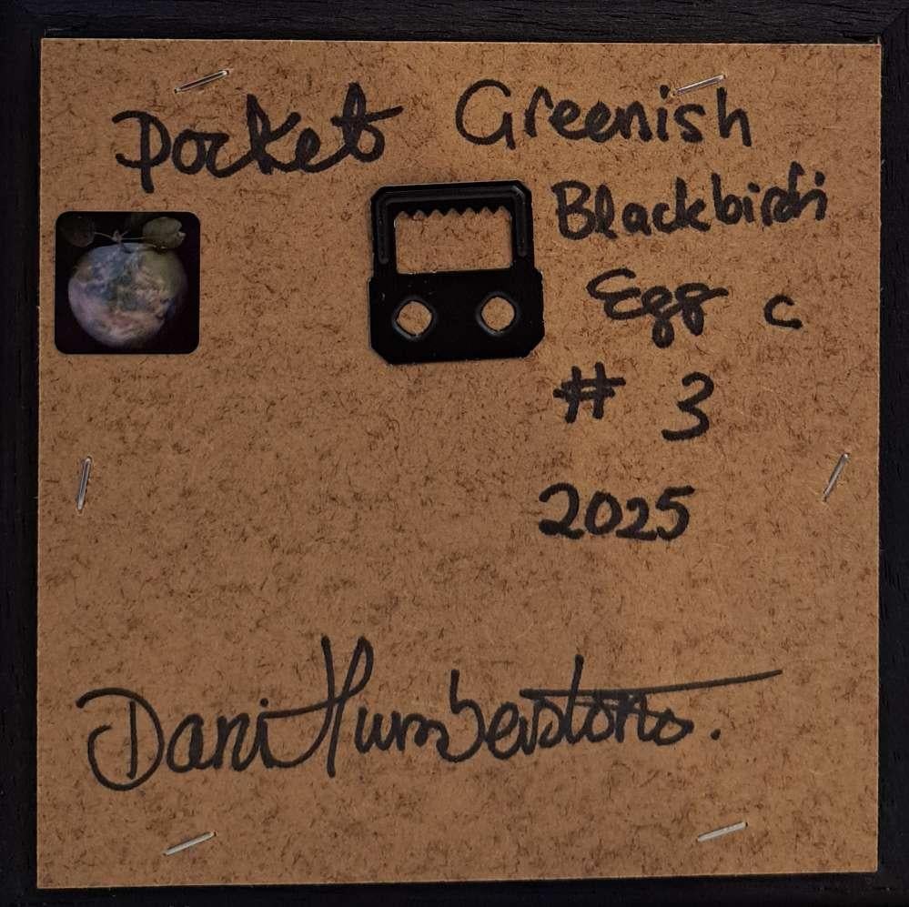 Egg Blackbird's Greenish Pocket Painting 3c, original painting, contemporary For Sale 6