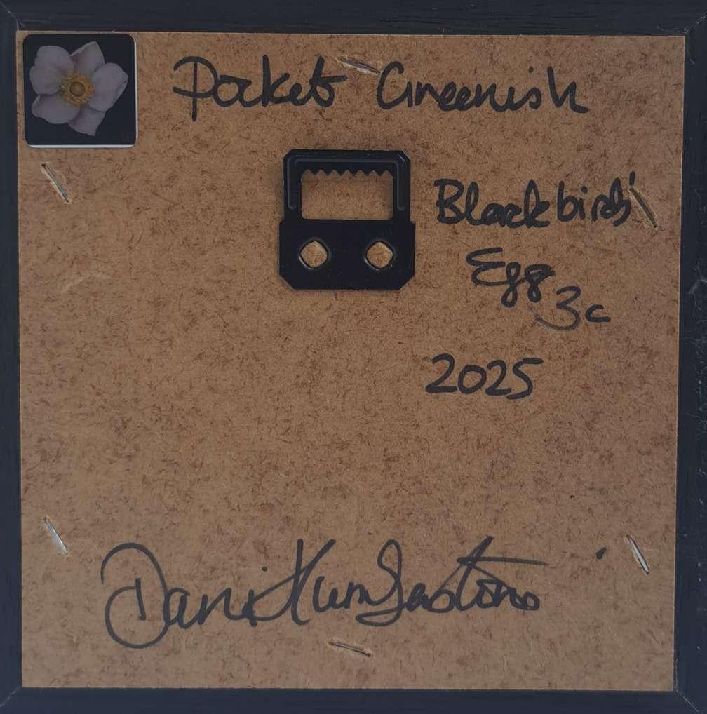 Peinture de poche vert-de-gris d'œuf d'oiseau noirbird 3c, peinture originale en vente 3