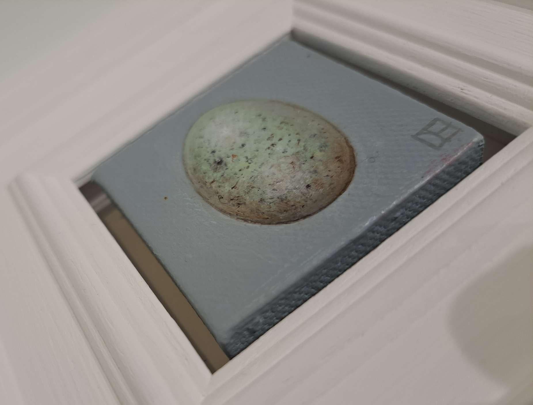 Pocket Blackbird's Egg (White Collection) (canvas size 5x5cm) is an original oil painting by Dani Humberstone as part of her Pocket painting series featuring small scale realistic oil paintings, with a nod to baroque still life painting. The