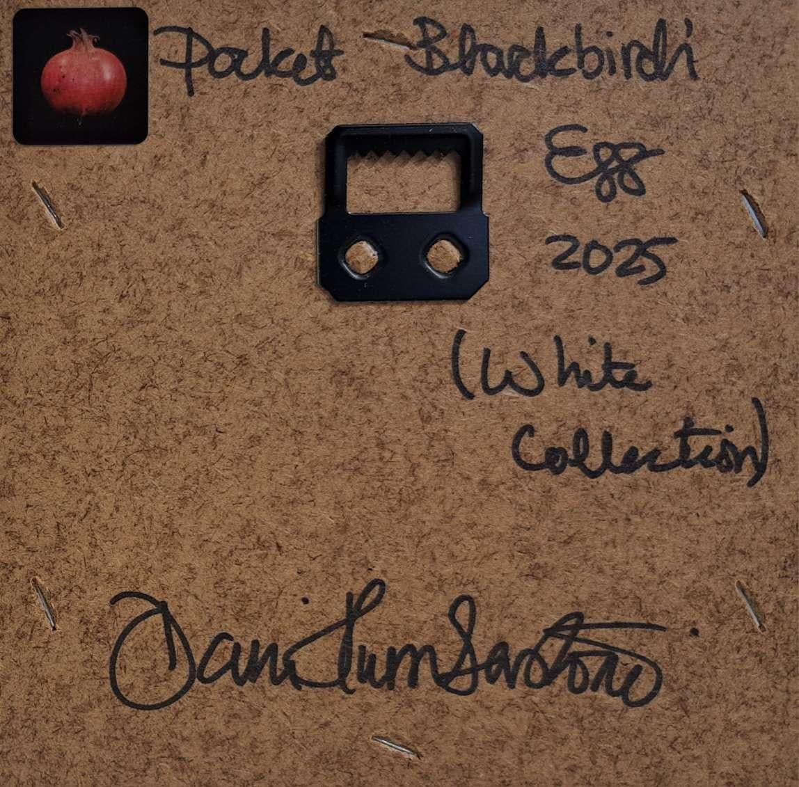 Egg Blackbird's (White Collection) Pocket, original painting For Sale 3