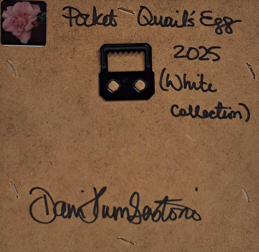 Egg Quail's (White Collection) Pocket Painting, original painting For Sale 3