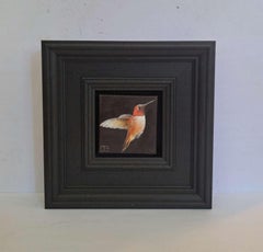 Hummingbird Rufous Pocket Painting 238, original painting, still-life