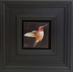 Hummingbird Rufous Pocket Painting 238, original painting, still-life